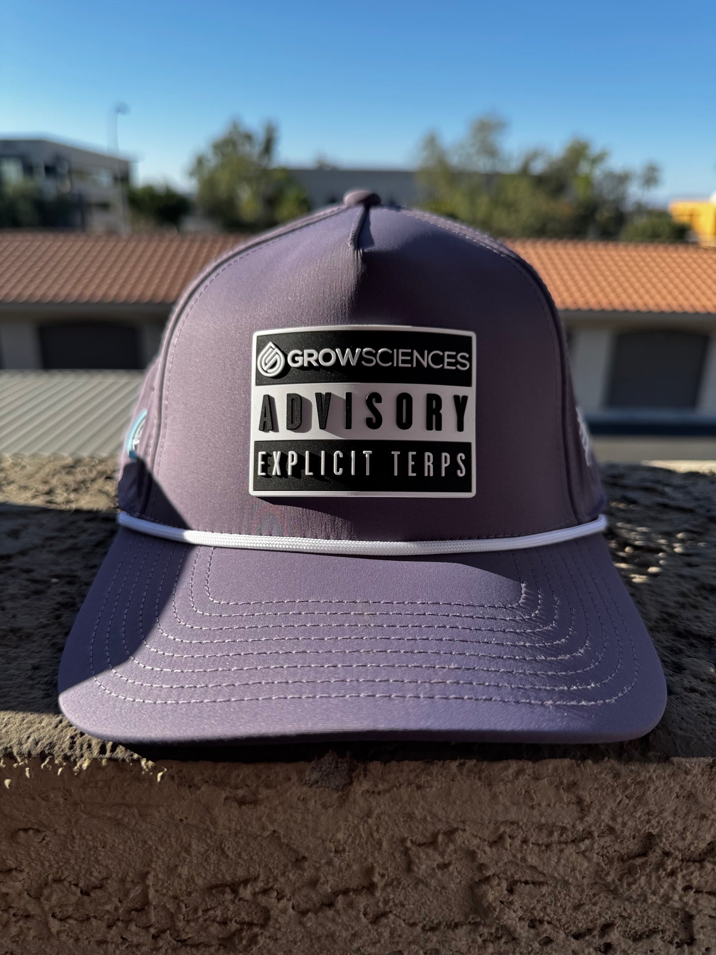 >>(Explicit Terps Snapback)<<