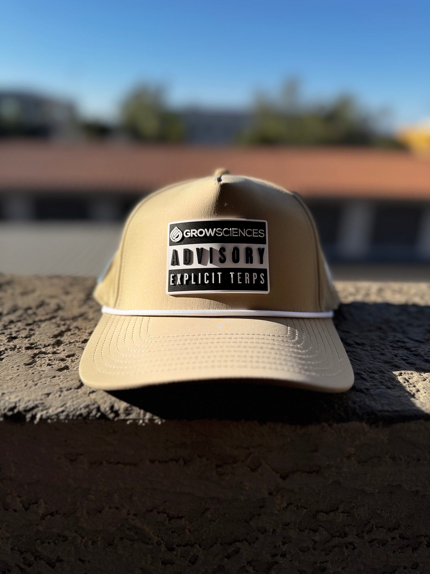 >>(Explicit Terps Snapback)<<