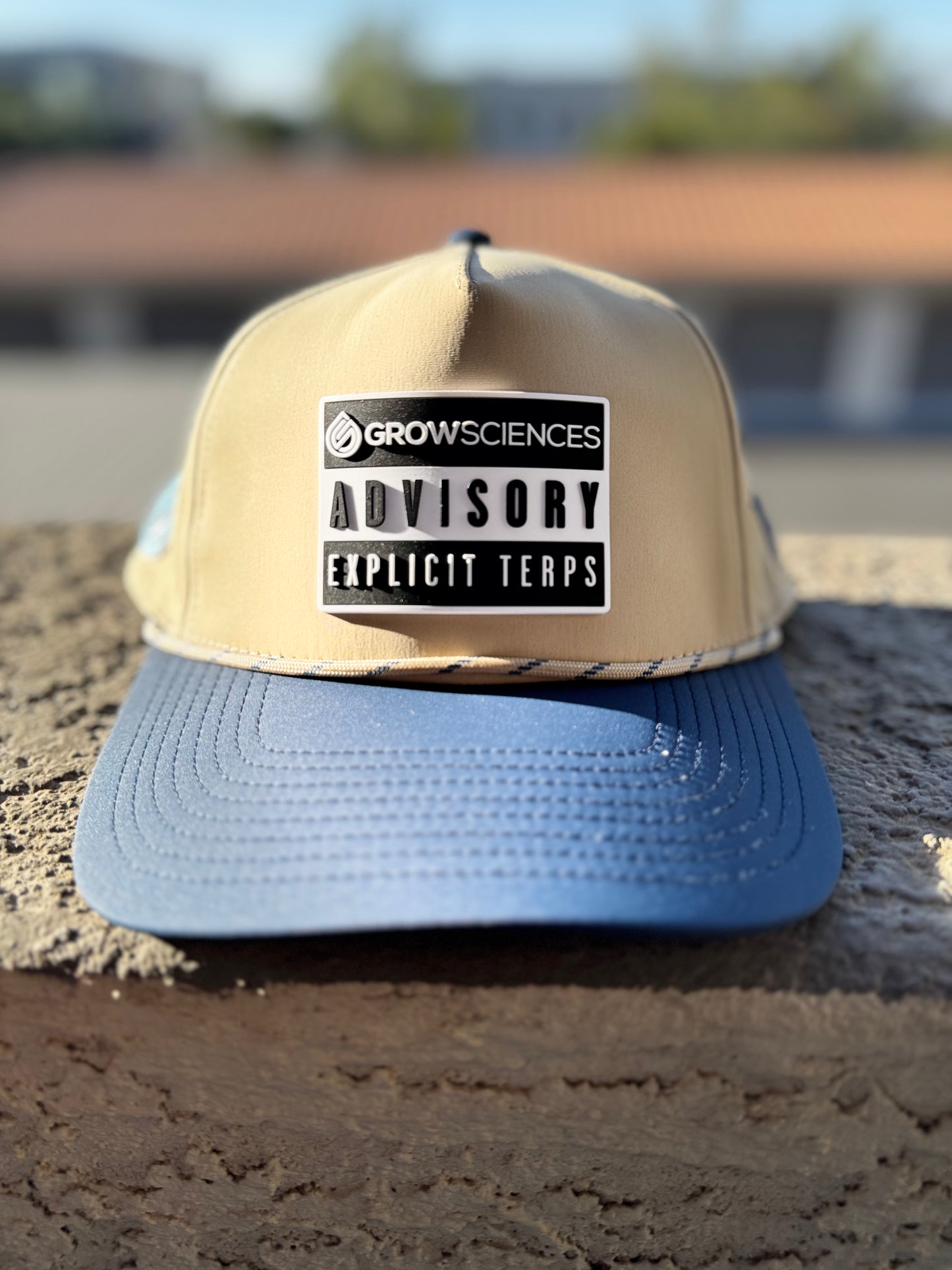 >>(Explicit Terps Snapback)<<