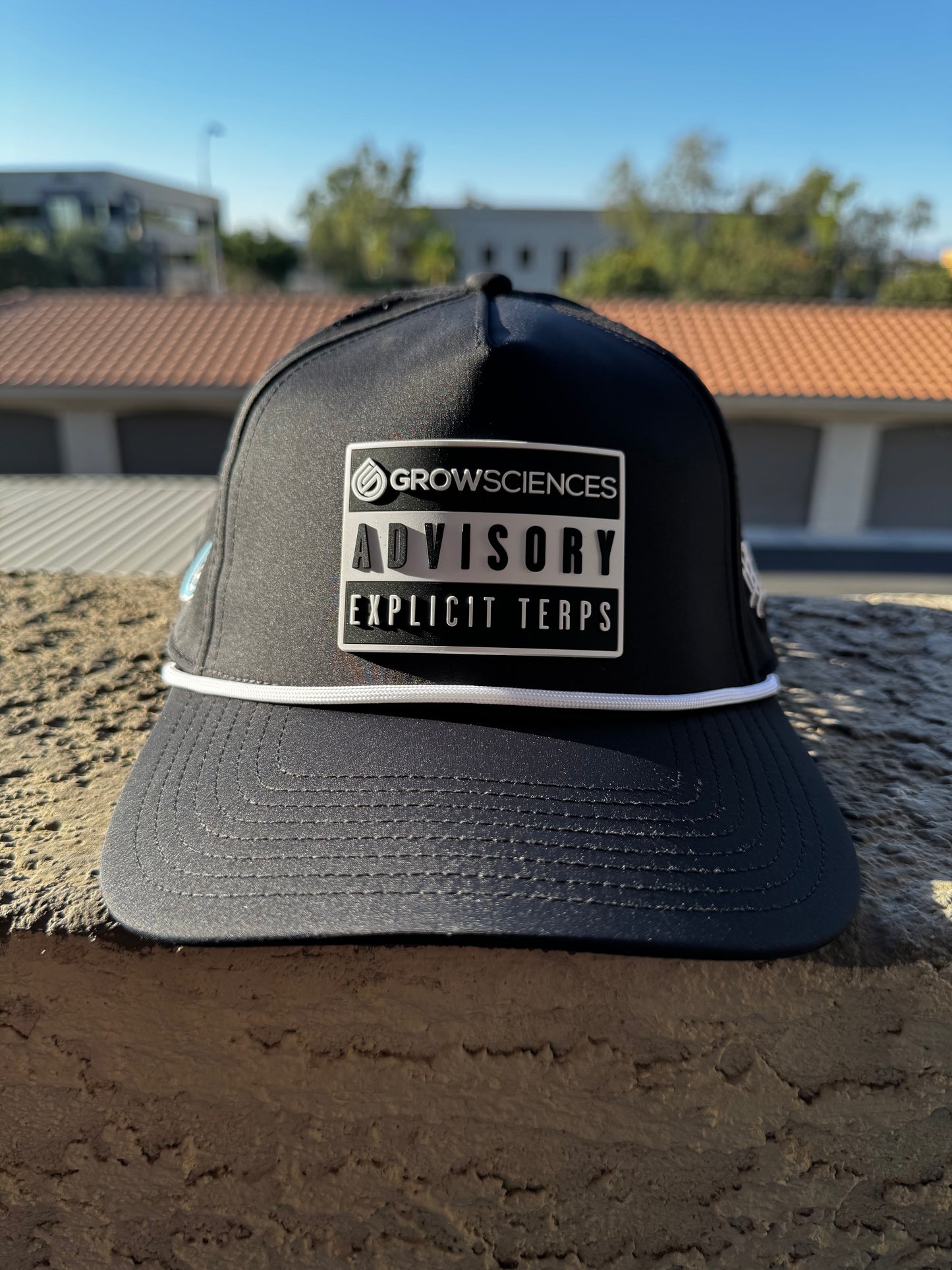 >>(Explicit Terps Snapback)<<
